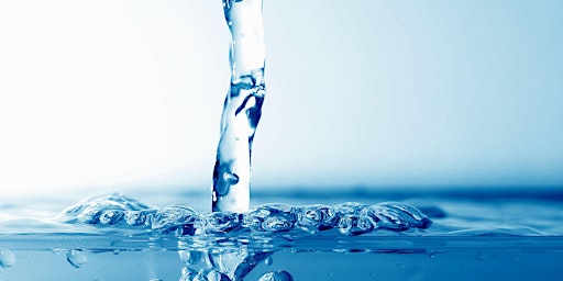 Water Seminar: Left in the Dust? primär bild