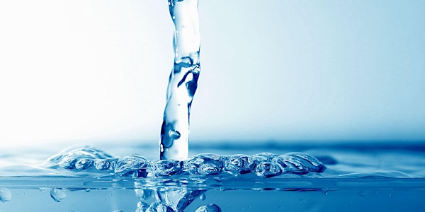 Can Alternative Transfer Mechanisms Alleviate Water Shortages?