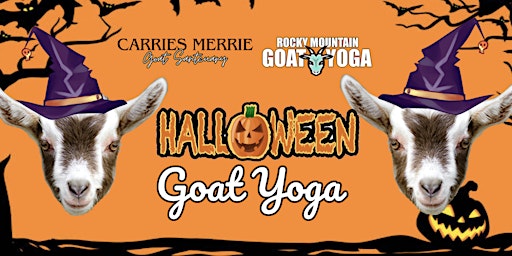 Imagem principal do evento Halloween Goat Yoga - October  20th (CARRIES MERRIE GOAT SANCTUARY)