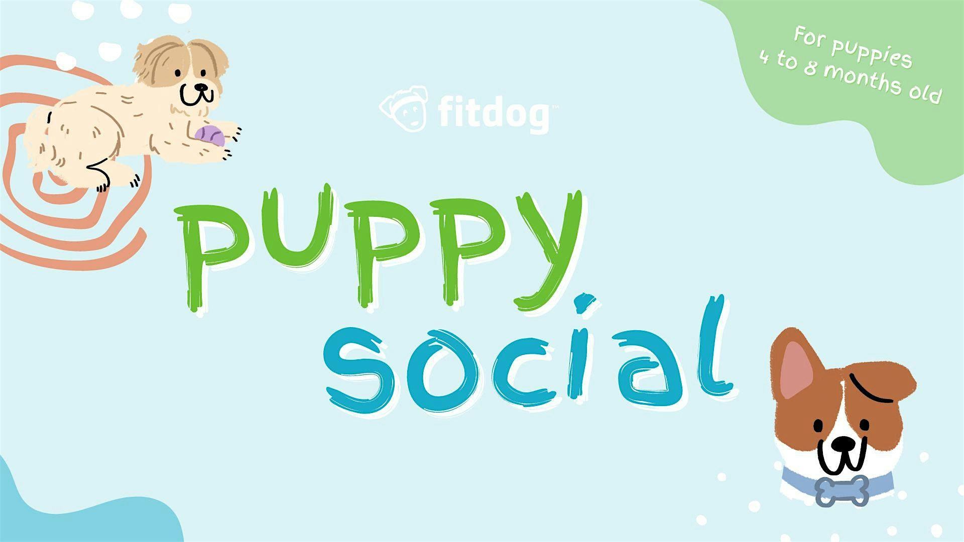 Puppy Social at Fitdog