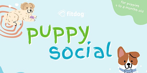 Puppy Social at Fitdog primary image