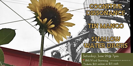 Cognitive Dissonance, Tin Mango and Shallow Water Divers