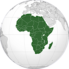Investir en Afrique :Défis et Solutions pour la Diaspora