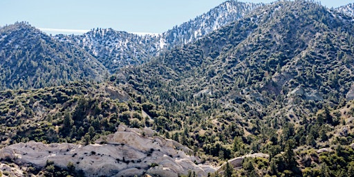 Moderate Hike in Angeles National Forest