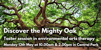 Imagen principal de Discover The Mighty Oak