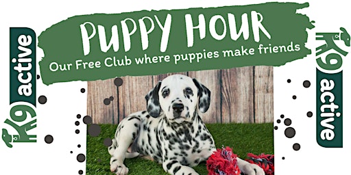 Hauptbild für Puppy Hour at K9 Active (May 18th)