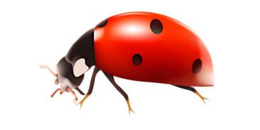 Bug Hotel & Mini Beasting primary image
