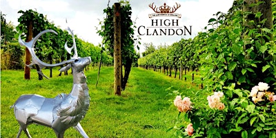 Primaire afbeelding van Experience High Clandon Vineyard's magical Tour, Talk, Tasting