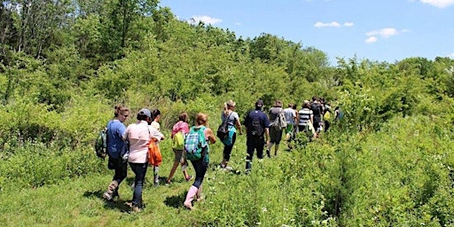 The Watershed Institute Hike & Nature Activities