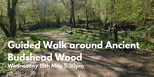 Imagem principal do evento Guided Walk around Ancient Budshead Wood