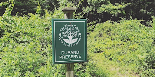 Hauptbild für VOLUNTEER DAY at Durand Preserve