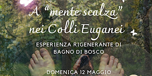 Primaire afbeelding van A MENTE SCALZA NEI COLLI EUGANEI- FOREST BATHING
