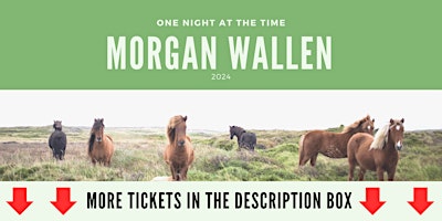 Hauptbild für Morgan Wallen Virginia Beach  Concert 2024