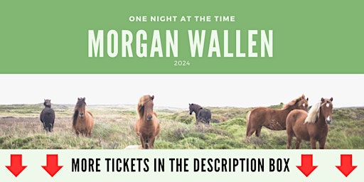 Imagem principal do evento Morgan Wallen Virginia Beach  Concert 2024
