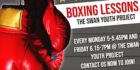 Boxing Lesssons @ The Swan Youth Club -£5 per session primary image