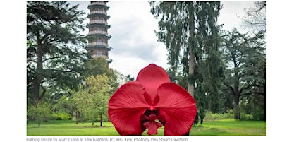 Imagem principal do evento GIVING FLOWERS: FREE Trip to Kew Royal Botanical Gardens