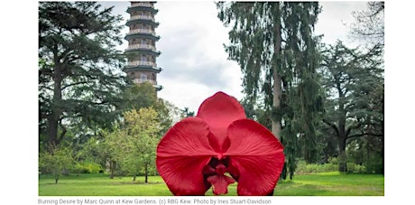 GIVING FLOWERS: FREE Trip to Kew Royal Botanical Gardens