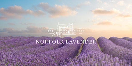 Lavender Field Tickets  primärbild
