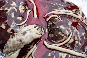 Primaire afbeelding van Lezing "De filosofie van de placenta" - Rodante van der Waal