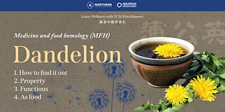 Medicine and food: Dandelion