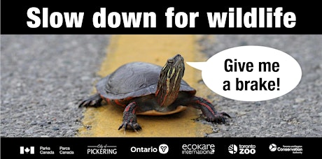 Wildlife on Roads Seminar and Field Day: Rouge Urban National Park