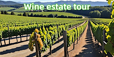 Wine estate tour