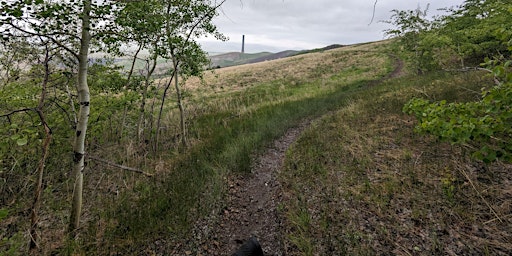 Hike or Trail Run Anaconda's "C" Hill  primärbild