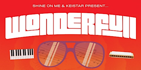 WONDER-Full XI - Tribute Party To The Music of Stevie Wonder | DJ Spinna  primary image