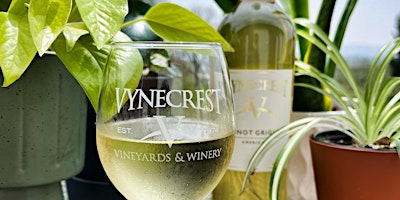 Imagem principal do evento Plant Bingo at Vynecrest Winery