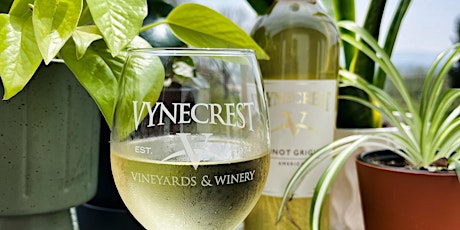 Plant Bingo at Vynecrest Winery