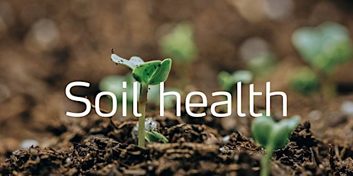 Hauptbild für SOIL HEALTH TRAINING