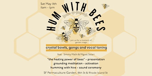 Immagine principale di Hum With  Bees - Crystal bowls, gongs, and vocal toning with the hive 