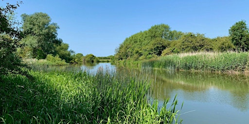 Hauptbild für A FREE Guided Walk at Farmoor Reservoir, our Monthly Wildlife Walk.