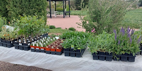 Orton Botanical Garden Plant Sale Class