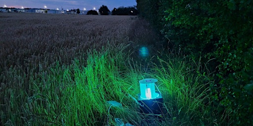 Imagen principal de A FREE Monthly Moth Trap checking at Farmoor Reservoir, led by Peter Philp