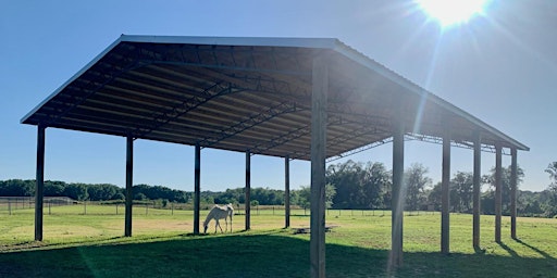 Imagem principal de Serenity Flow: Therapeutic Yoga, Sound Healing, and Equine Connection