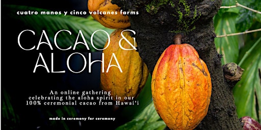 Imagem principal do evento Cacao & Aloha