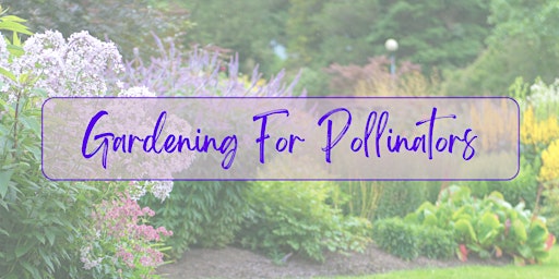 Primaire afbeelding van Gardening For Pollinators with Murray's Flowers & Fun Finds!
