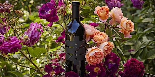 Imagen principal de Wine Tasting in the Vineyard