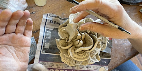 The ArtHouse Milton • Experimental Ceramic Workshops
