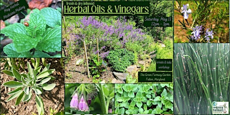 May Herbal Medicine Making: Herb Infused Oils & Vinegars