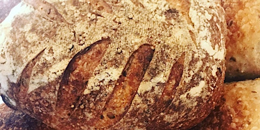 Imagem principal do evento Introduction to sourdough bread baking