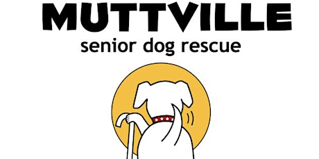 Adopt yoga from senior dog Rescue