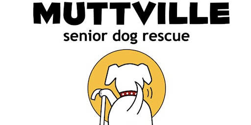 Adopt yoga from senior dog Rescue primary image