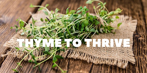 Hauptbild für Thyme to Thrive: A Journey from Aeroponic Garden to Gourmet Glass