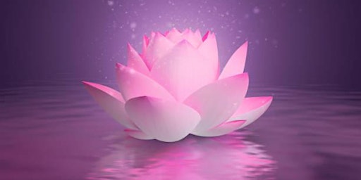Imagem principal de Peace Meditation