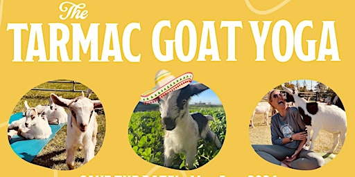 Carnival Goat Yoga Class - Apron Event Venue primary image