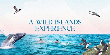 A Wild Islands Experience - Guernsey Chamber