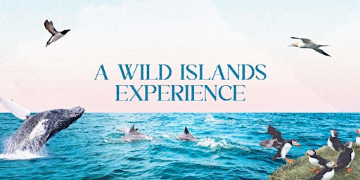 Imagen principal de A Wild Islands Experience - Guernsey Chamber