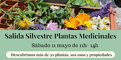 Image principale de Salida Silvestre Plantas Medicinales Barcelona